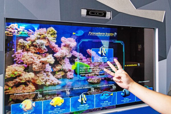 圖三、「我視AI魚缸」透過不同手勢就能辨識魚種。工研院/提供