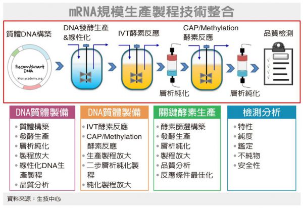 mRNA規模生產製程技術整合