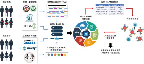圖六、大眾化新生抗原開發示意圖。資料來源：生技中心，2025年8月
