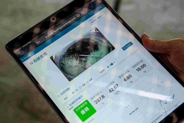 導入工研院長效溶氧感測器與 AI 精準投餵後,透過水下振動感測魚群攝食活動力,精準掌握投餵量與水質狀態。工研院/提供