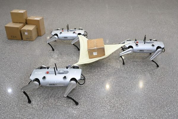 三隻國產四足機器人透過群體協作共同搬運物資,展現多機協同、任務分工及物資補給能力。